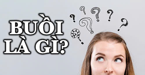 Buồi là gì?