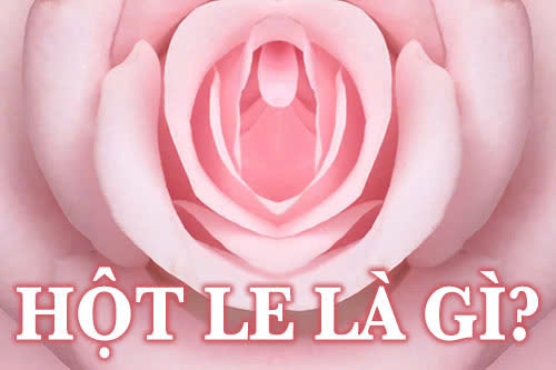 Hột le là gì?